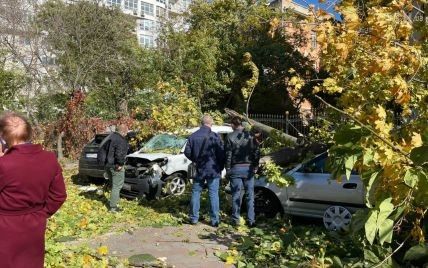 Непогода в Украине: во Львове ветер завалил стену дома, а в Одессе дерево разбило голову мужчине