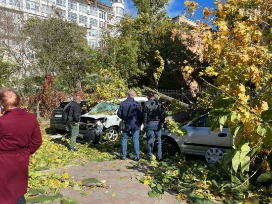 Негода в Україні: у Львові вітер завалив стіну будинку, а в Одесі дерево розбило голову чоловікові