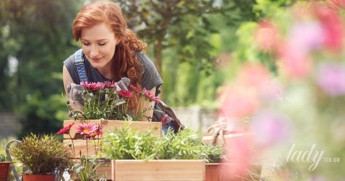 Як уникнути подразнень та опіків під час садових робіт