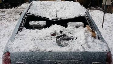 в києві сніг побив авто_1 / © Facebook/Киев автомобильный