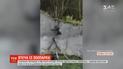 В зоопарку Белфаста шимпанзе втекли з вольєра