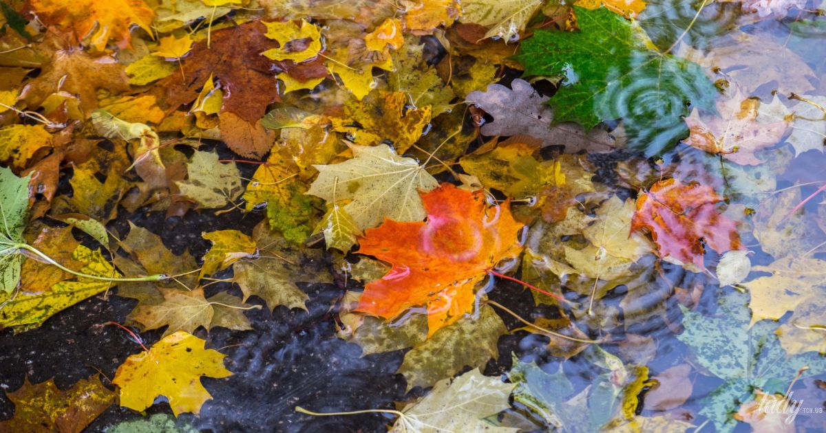 Гороскоп на 7 листопада для всіх знаків Зодіаку