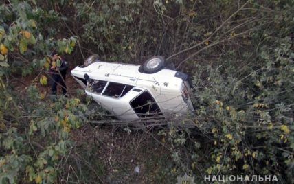 В Житомирской области двое парней похитили автомобиль из чужого гаража и перевернулись в кювете