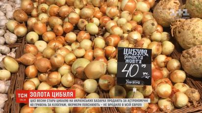 Дорога цибуля: коли чекати на здешевшання овочу
