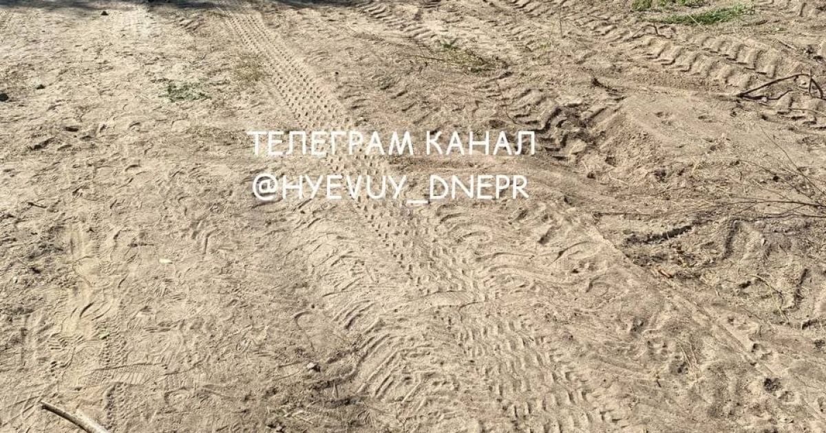 Частини тіл виглядають із землі: у Дніпрі невідомі зруйнували кладовище для домашніх тварин (фото)