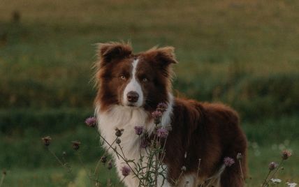 Яке сьогодні, 30 серпня, свято – все про цей день, яке церковне свято, що не можна робити