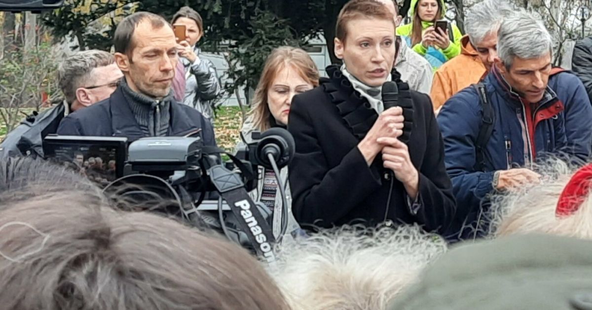 "Нам рисуют картинки": в Николаеве на митинге псевдоврач кричала, что коронавируса нет (видео)