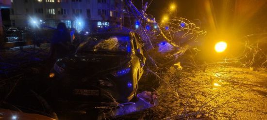 Повалені дерева, розбиті авто та загиблий: у Києві негода наробила лиха