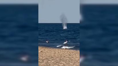 В Одессе морская мина взорвалась рядом с людьми, которые купались