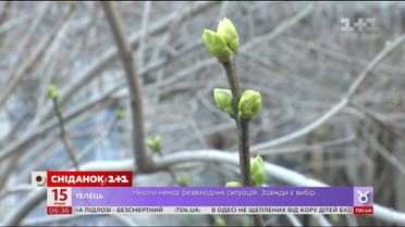 Як вплинуть різкі перепади погоди на врожай
