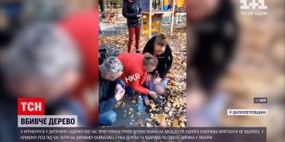 Новини України: у дитячому садочку велике дерево впало на хлопчика та дівчинку