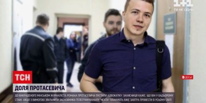 Задержание Романа Протасевича: ICAO согласилась расследовать принудительную посадку Ryanair в Минске