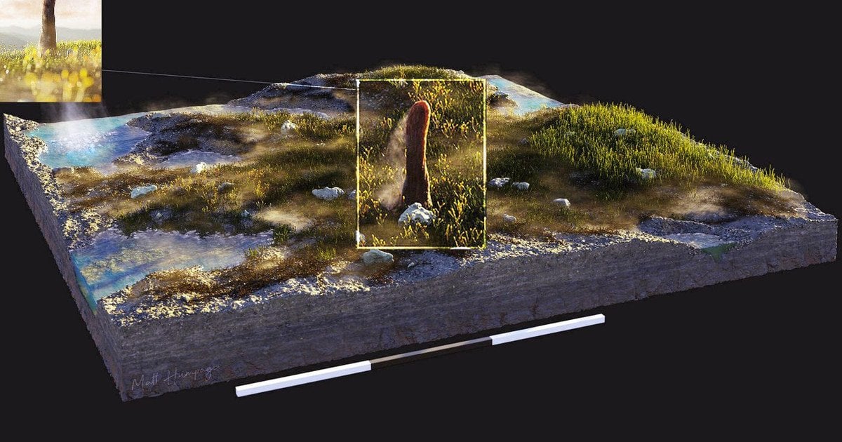 Невідома скам’янілість. Фото: Метта Гампейджа, Northern Rogue Studios