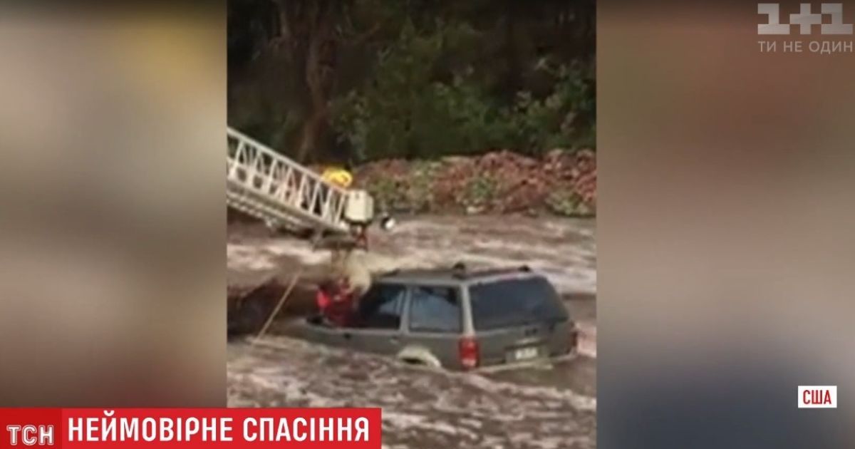 У США повінь зненацька захопила водія із собакою в машині