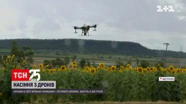 В Австралии впервые в мире с помощью беспилотника высеяли 45 тысяч гектаров подсолнечника