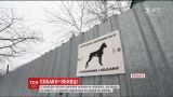 На Київщині чотири вівчарки загризли до смерті перехожого