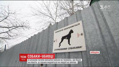 На Киевщине четыре овчарки загрызли до смерти прохожего