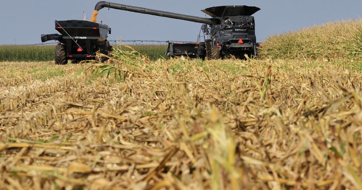 В Украине запустили пилотный онлайн-реестр для аграриев