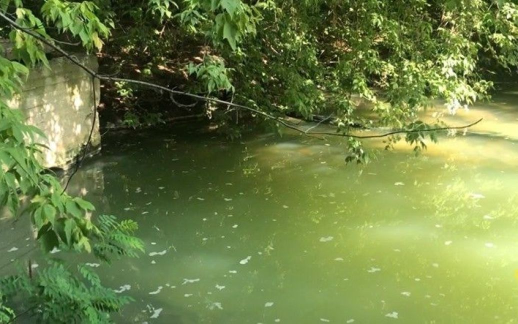 © Міністерство екології та природних ресурсів України