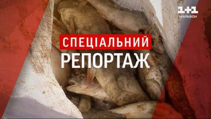 Мертвая вода из России приближается к Киеву! Какую опасность скрывают зараженные реки? 