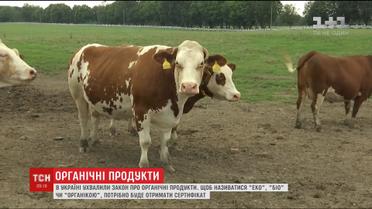 В Україні штрафуватимуть виробників, які позначатимуть екологічність продута без сертифікату