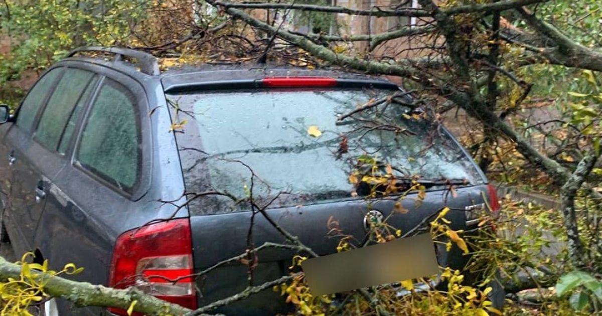 Негода наробила чимало лиха на вулицях та автодорогах столиці