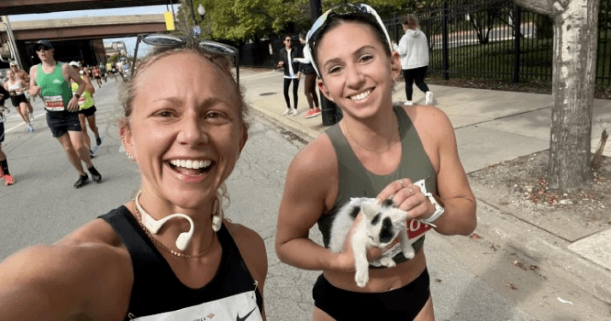 Спортсменки Сара Бохан Джия Нигро с найденным котёнком