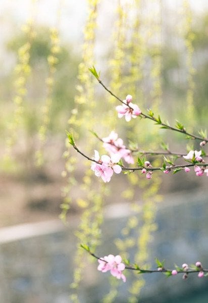 Який сьогодні, 22 березня, день ангела