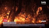Пожар в Луганской области удалось локализовать