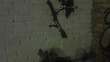 Малювання графіті Бенксі у Києві_2 / © Facebook/Yabloko ideas studio