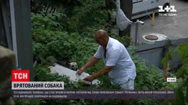 Новости Украины: кто этот мужчина, который спас собаку во время ливня в Киеве