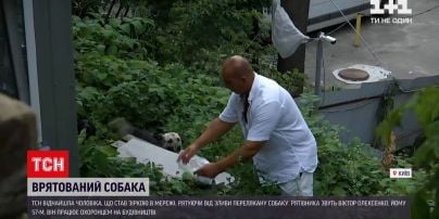 Новости Украины: кто этот мужчина, который спас собаку во время ливня в Киеве