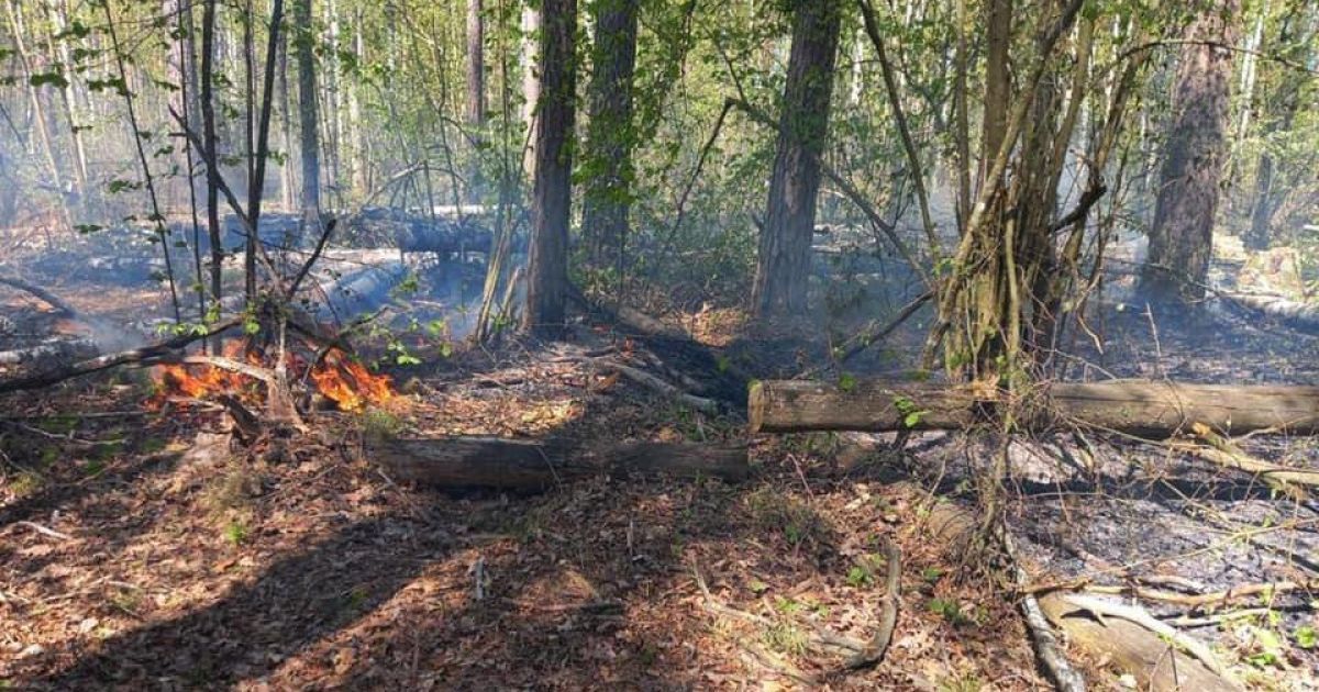 Российская авиация снова обстреляла приграничную территорию Черниговской области