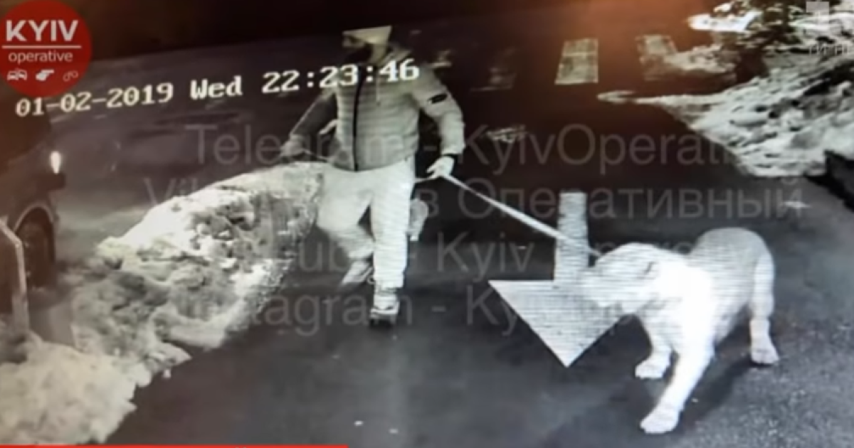 Одним ударом убил сотрудника УГО в Киеве: боксера Очеретяного приговорена к семи годам лишения свободы