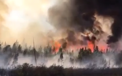 Перша жертва лісових пожеж у Якутії: живцем згорів тракторист, який боровся з вогнем