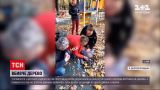 Новости Украины: в детском садике большое дерево упало на мальчика и девочку