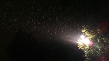 Первый снег во Львове. / © Так люблю той Львів, що бракує ми слів