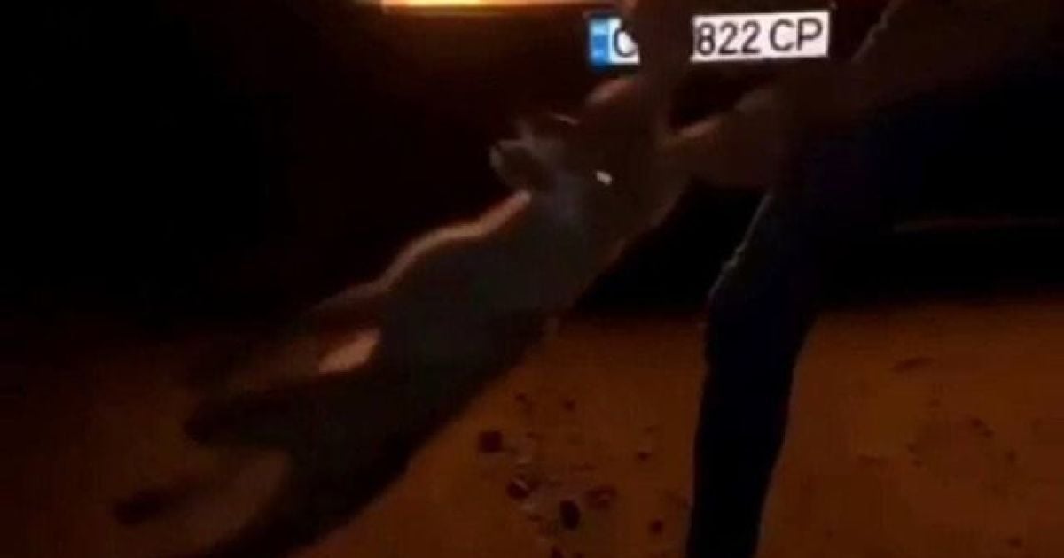 Скриншот видео