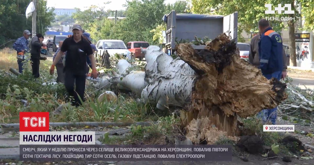 150 гектаров разрушенного леса и 300 поврежденных домов - в херсонской области прошел смерч