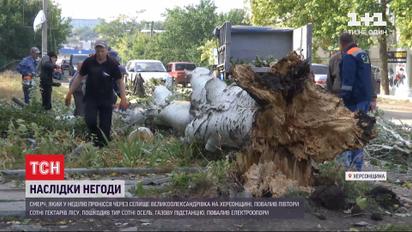 150 гектаров разрушенного леса и 300 поврежденных домов - в Херсонской области прошел смерч