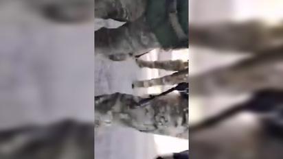 Под Броварами сотрудники ТЦК избили мужчину и угрожали его жене