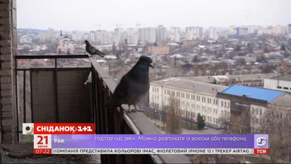 Балконопад у столиці: хто відповідальний за аварійний стан будинків