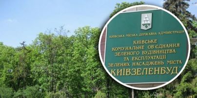 В столице объявили подозрение заместителю директора "Киевзеленстроя"