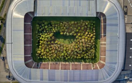 В Австрії висадили ліс посеред футбольного стадіону, щоб привернути увагу до вирубування дерев