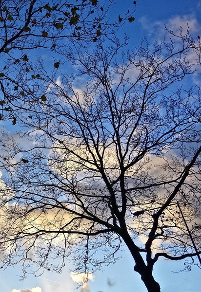 У п'ятницю буде тепло