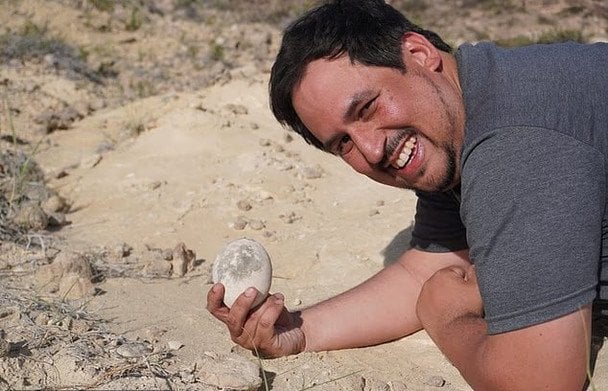 Яйце динозавра. / © dailymail.co.uk