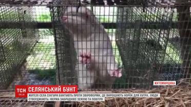 На Житомирщині селяни бунтують проти голландського бізнесу