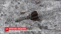 Оккупанты усилили огонь вдоль всей линии разграничения