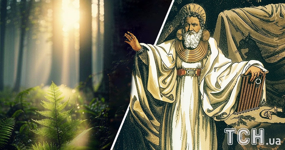 Растительный гороскоп друидов