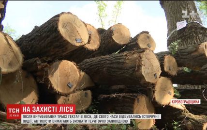 На Кировоградщине вырубили около трех гектаров исторического леса